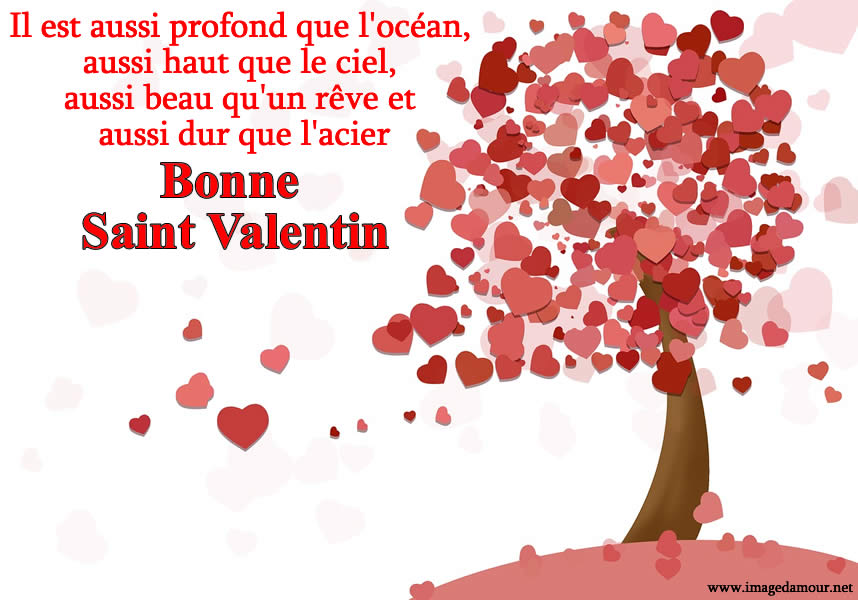 Bonne Saint Valentin