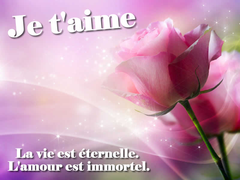 Image d'amour fleur