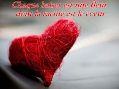 Images d'amour