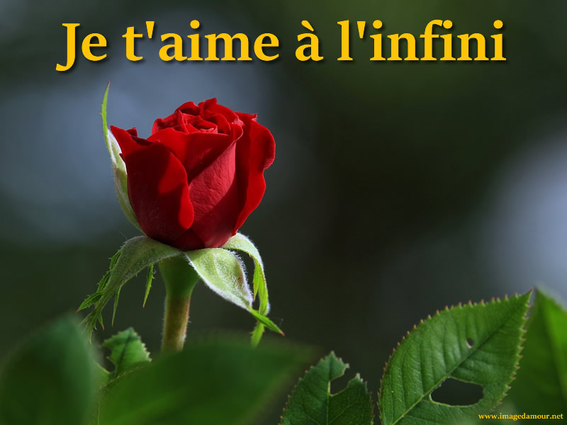 Je t'aime à l'infini