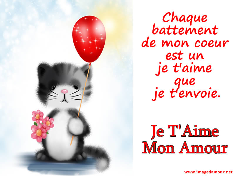 Image Je Taime Gratuite Avec Doux Chat Et Phrase Damour