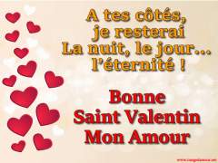 Bonne Saint Valentin Mon Amour