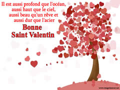 Bonne Saint valentin