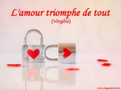 Image d'amour et de coeur