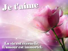 Image d'Amour Fleur