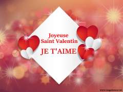 Joyeuse Saint Valentin