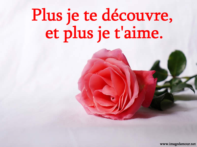 Image d'amour romantique