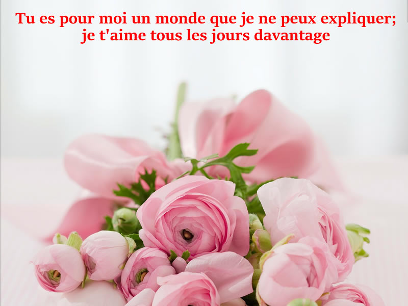 Photo d'amour Romantique